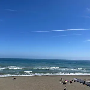 check availability